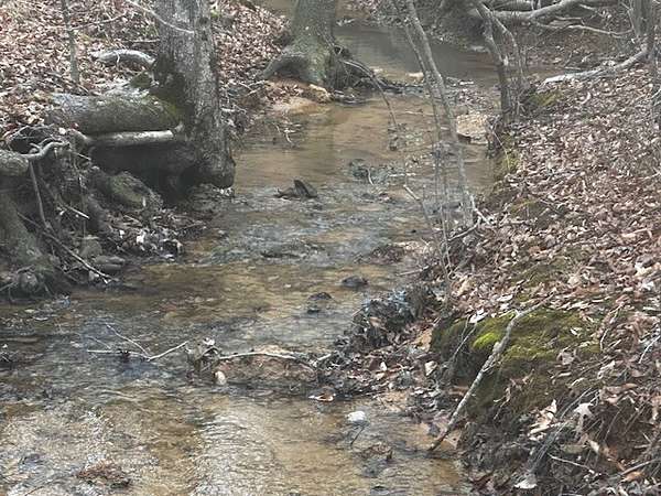 143 Acres of Recreational Land for Sale in Red Bay, Alabama