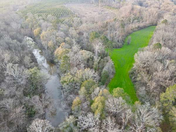 361 Acres of Recreational Land for Sale in Minter, Alabama