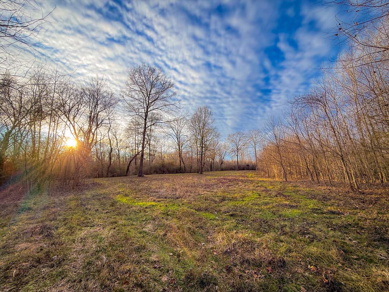 40 Acres of Land for Sale in Moundville, Alabama