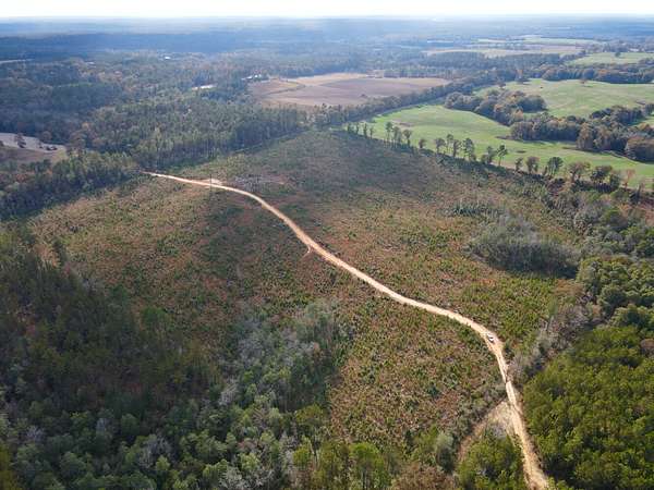 40 Acres of Recreational & Residential Land for Sale in Leakesville, Mississippi