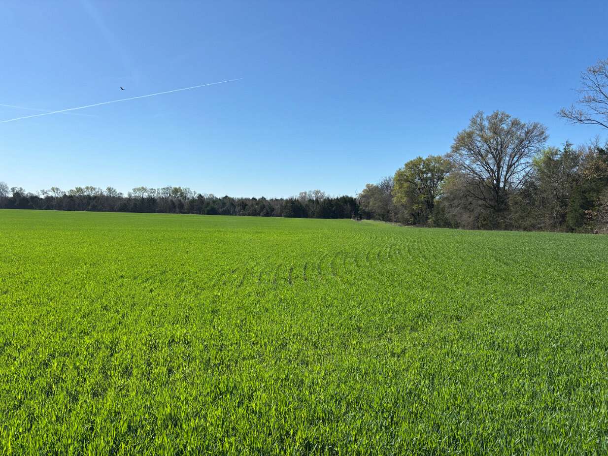 195 Acres of Recreational & Residential Land for Sale in Houston, Mississippi