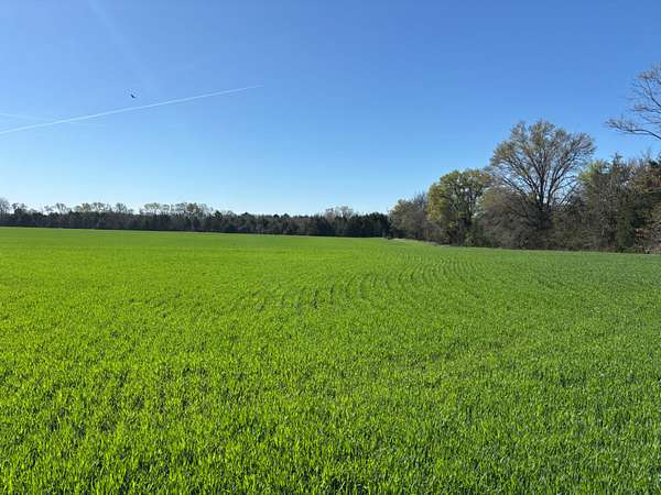 195 Acres of Recreational & Residential Land for Sale in Houston, Mississippi