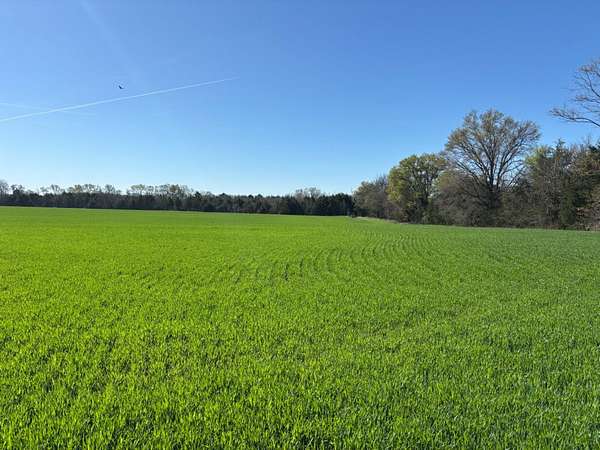 195 Acres of Recreational & Residential Land for Sale in Houston, Mississippi