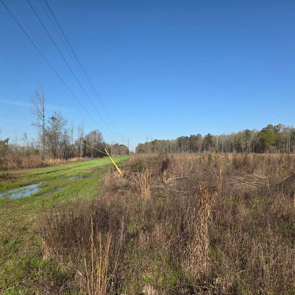 84 Acres of Recreational Land for Sale in Montgomery East, Alabama