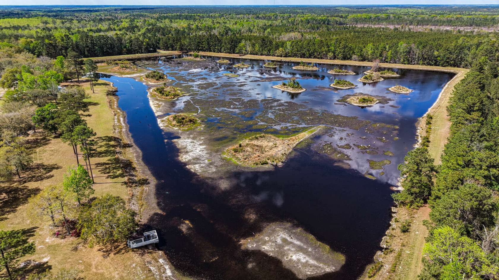 48.4 Acres of Land for Sale in Pembroke, Georgia