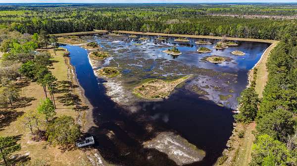 48.4 Acres of Land for Sale in Pembroke, Georgia