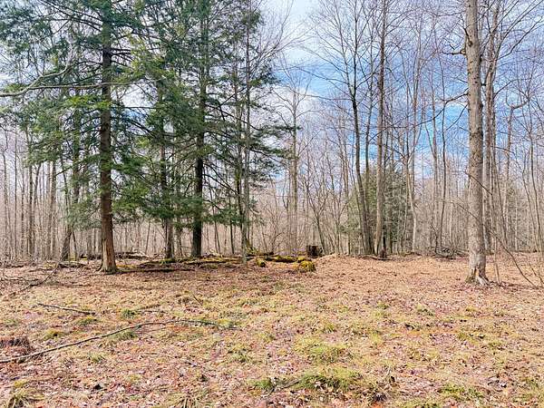 83.7 Acres of Recreational Land for Sale in Tidioute, Pennsylvania