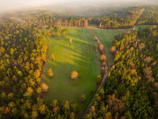 1,065 Acres of Improved Land for Sale in Atmore, Alabama