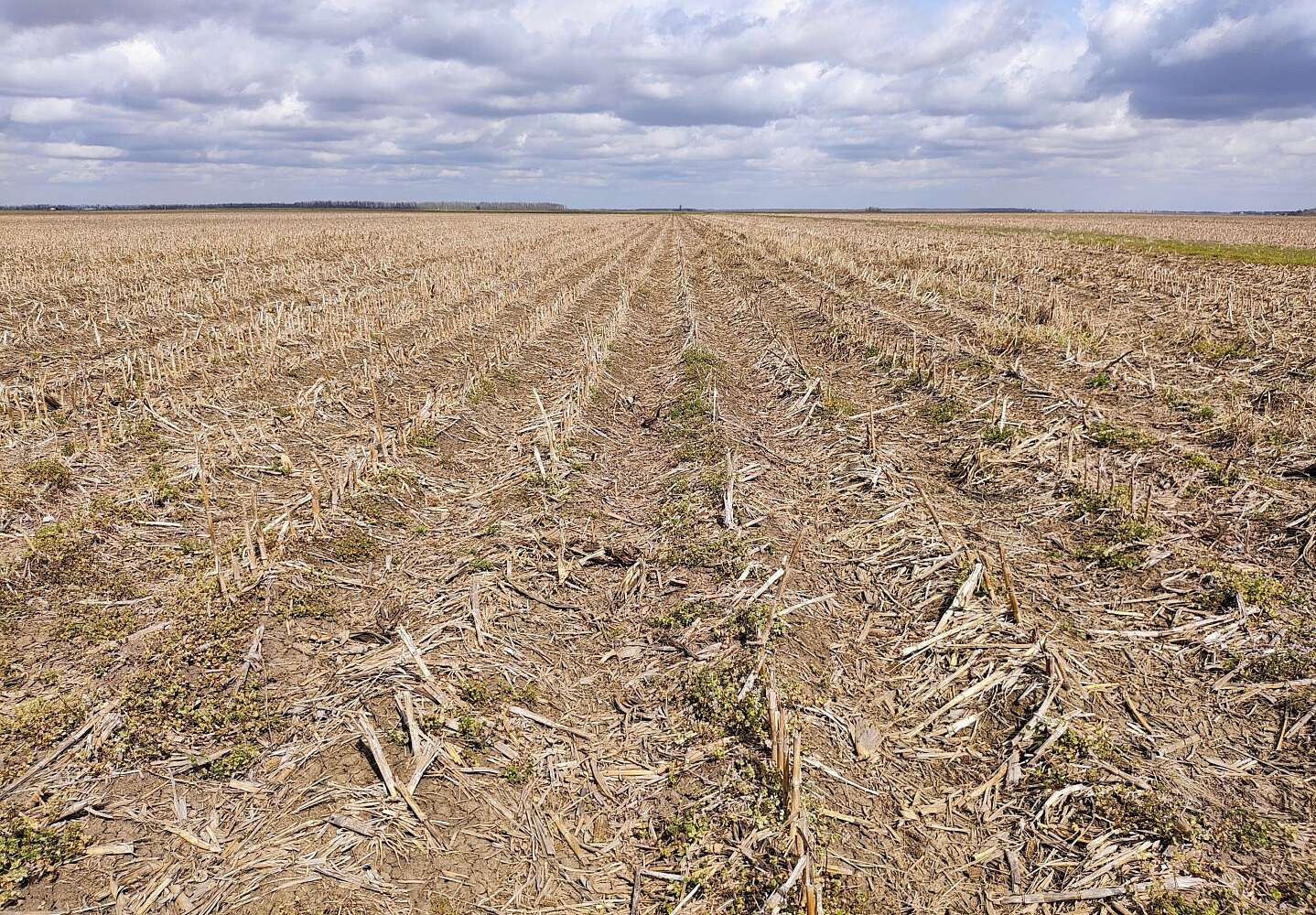 160 Acres of Agricultural Land for Sale in Alsatia, Louisiana