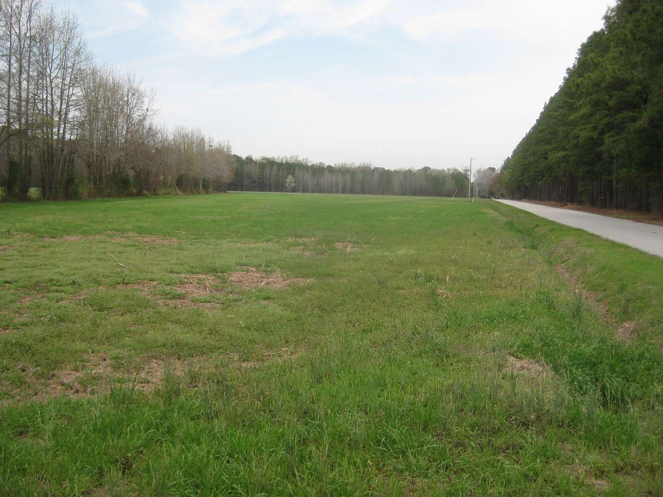 7.75 Acres of Land for Sale in Latta, South Carolina