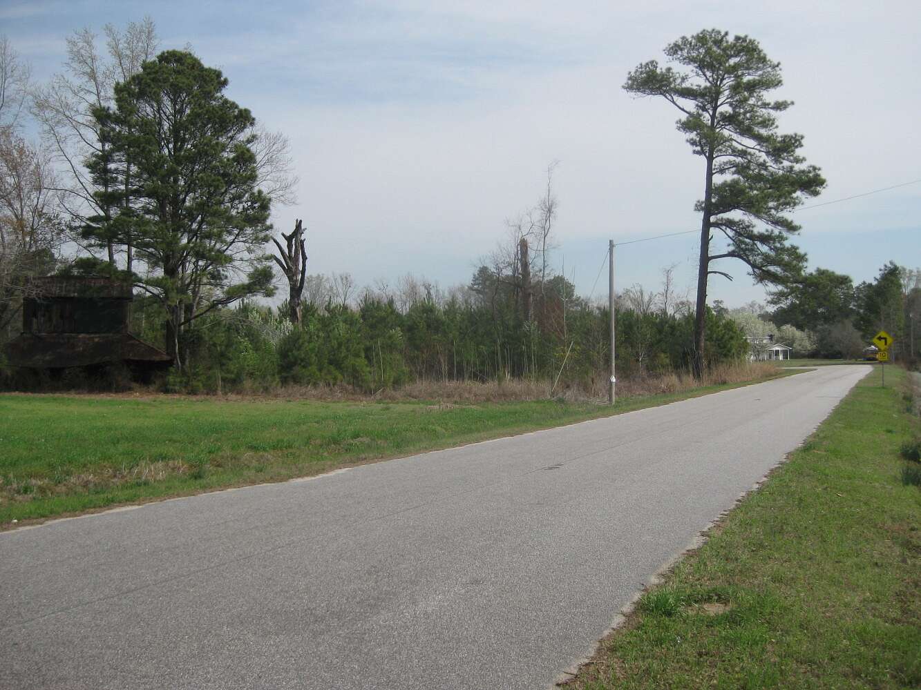 12 Acres of Recreational Land for Sale in Latta, South Carolina