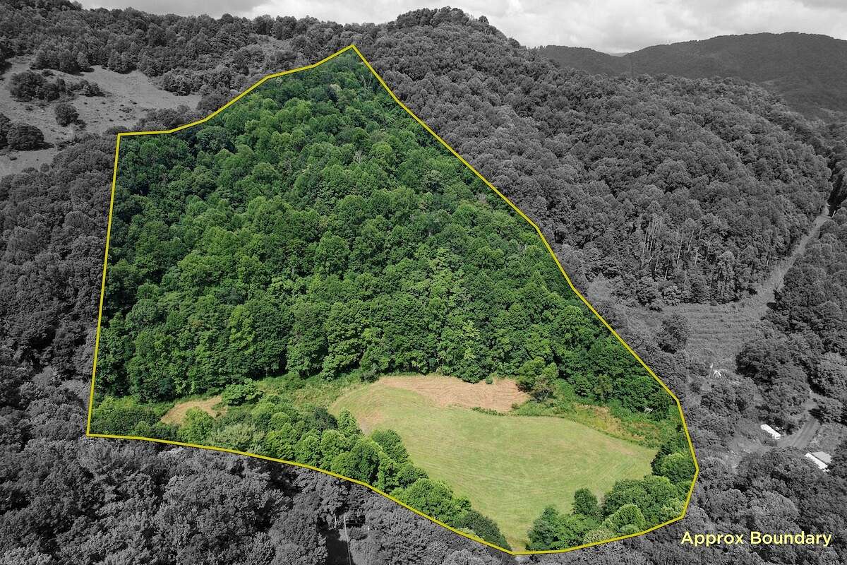 14.4 Acres of Land for Sale in Marshall, North Carolina