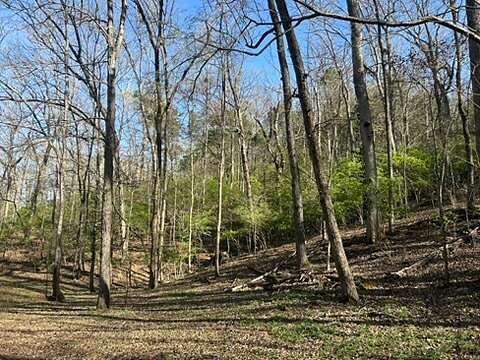 1.25 Acres of Residential Land for Sale in Hixson, Tennessee