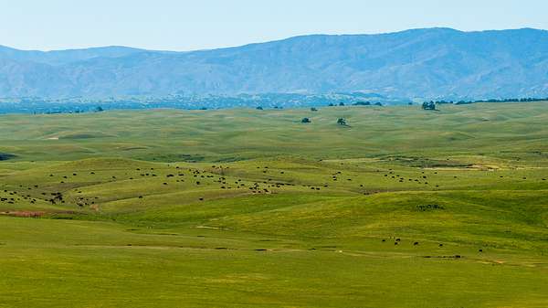 6,820 Acres of Land for Sale in Red Bluff, California