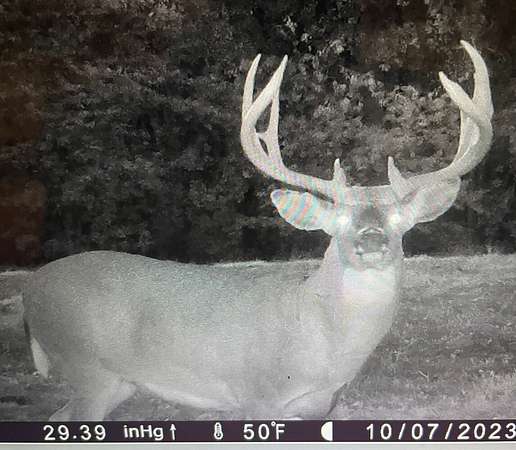 157 Acres of Land for Sale in Curryville, Missouri