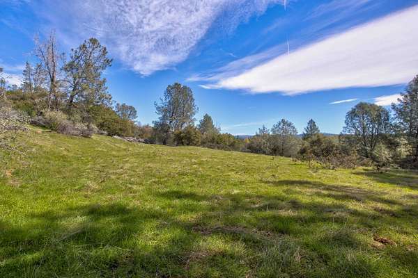 54.7 Acres of Land for Sale in Volcano, California