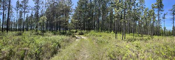 40 Acres of Recreational & Residential Land for Sale in Bay Minette, Alabama