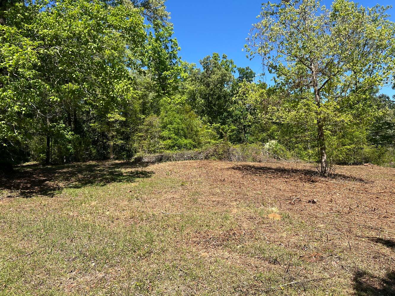 10 Acres of Residential Land for Sale in Newton, Alabama