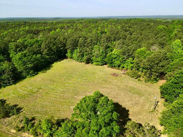 270 Acres of Recreational & Residential Land for Sale in Buhl, Alabama