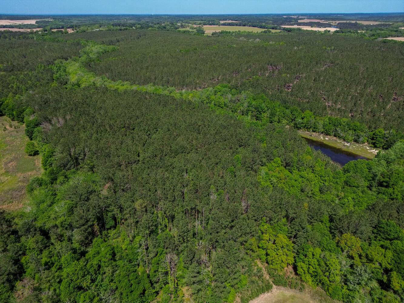 23 Acres of Recreational & Residential Land for Sale in Red Level, Alabama