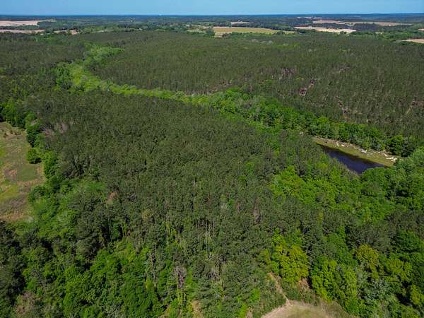 23 Acres of Recreational & Residential Land for Sale in Red Level, Alabama