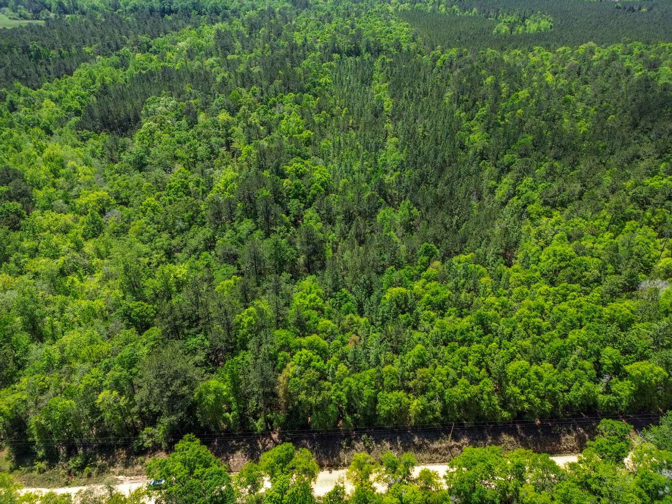 9 Acres of Residential Land for Sale in Red Level, Alabama