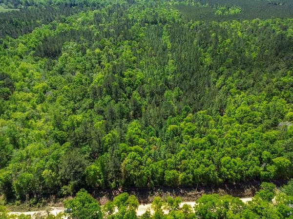 9 Acres of Residential Land for Sale in Red Level, Alabama
