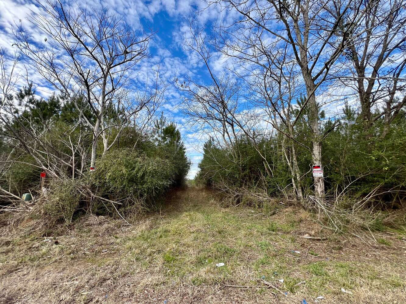 42.5 Acres of Recreational Land for Sale in Thomasville, Alabama