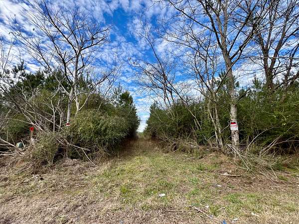 42.5 Acres of Recreational Land for Sale in Thomasville, Alabama