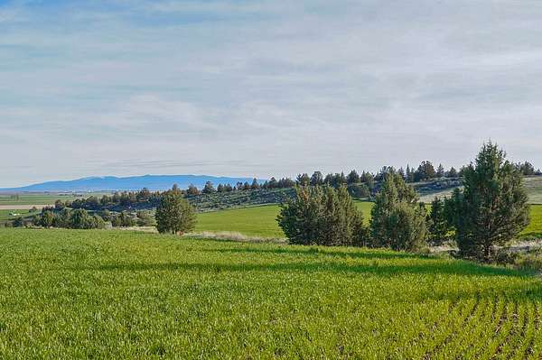 80.7 Acres of Land for Sale in Malin, Oregon