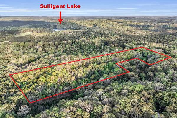 9 Acres of Residential Land for Sale in Sulligent, Alabama