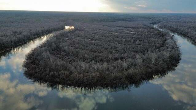 200 Acres of Recreational & Residential Land for Sale in Johnsonville, South Carolina