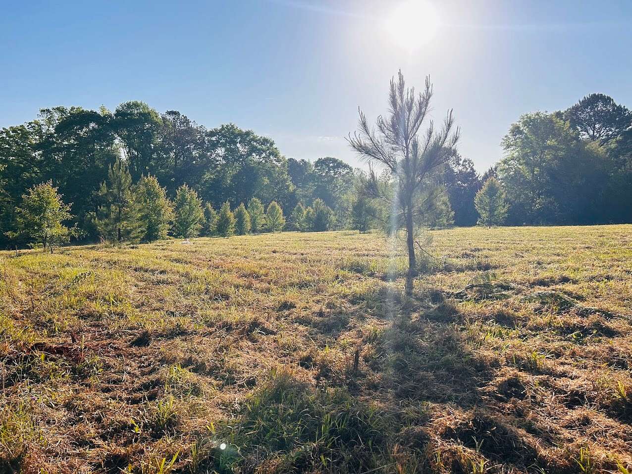 15 Acres of Land for Sale in Concord, Georgia