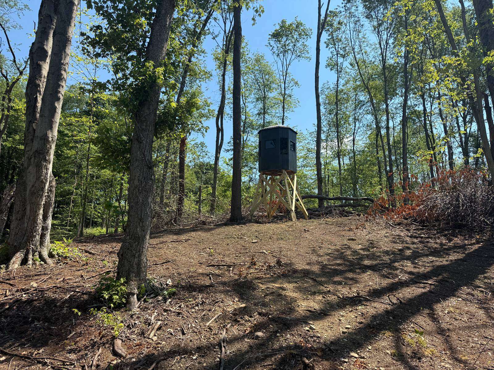 50 Acres of Recreational & Residential Land for Sale in Utica, Pennsylvania