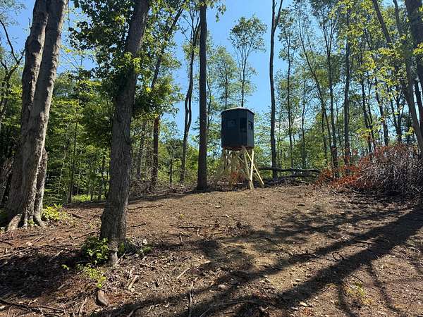50 Acres of Recreational & Residential Land for Sale in Utica, Pennsylvania