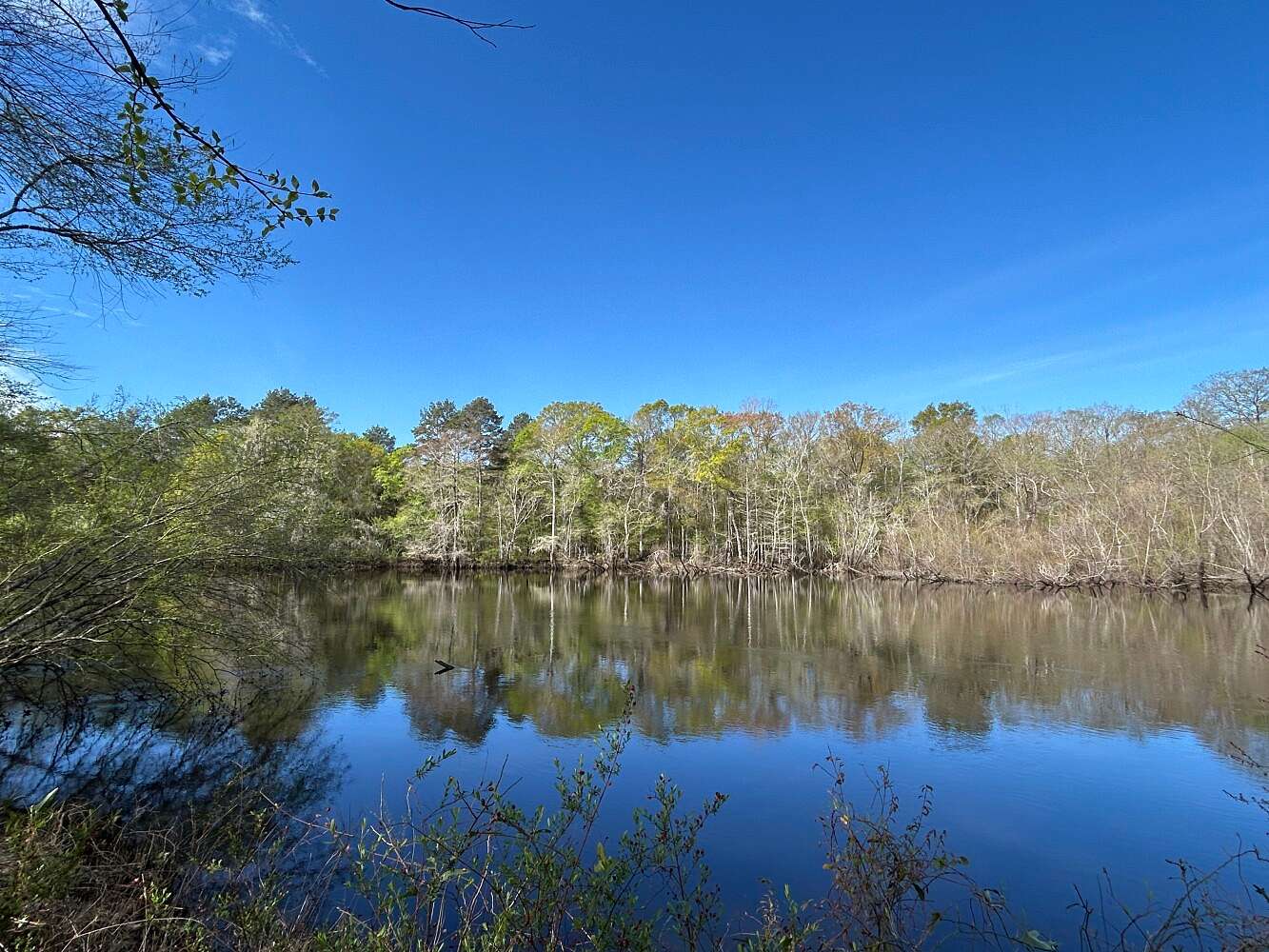 7.34 Acres of Land for Sale in Ridgeville, South Carolina