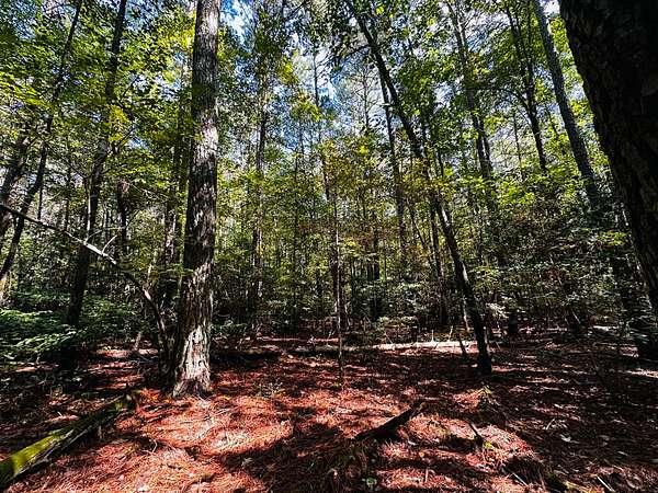 109 Acres of Recreational Land for Sale in Gloucester, Virginia