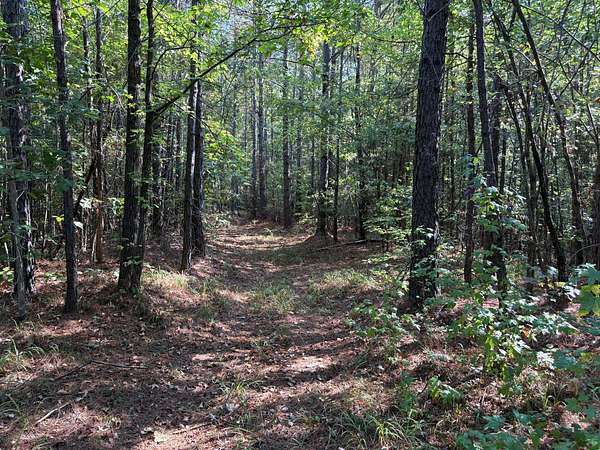 40 Acres of Recreational & Residential Land for Sale in Tiplersville, Mississippi