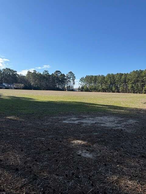 60 Acres of Land for Sale in Fork, South Carolina