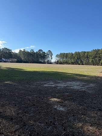 60 Acres of Land for Sale in Fork, South Carolina