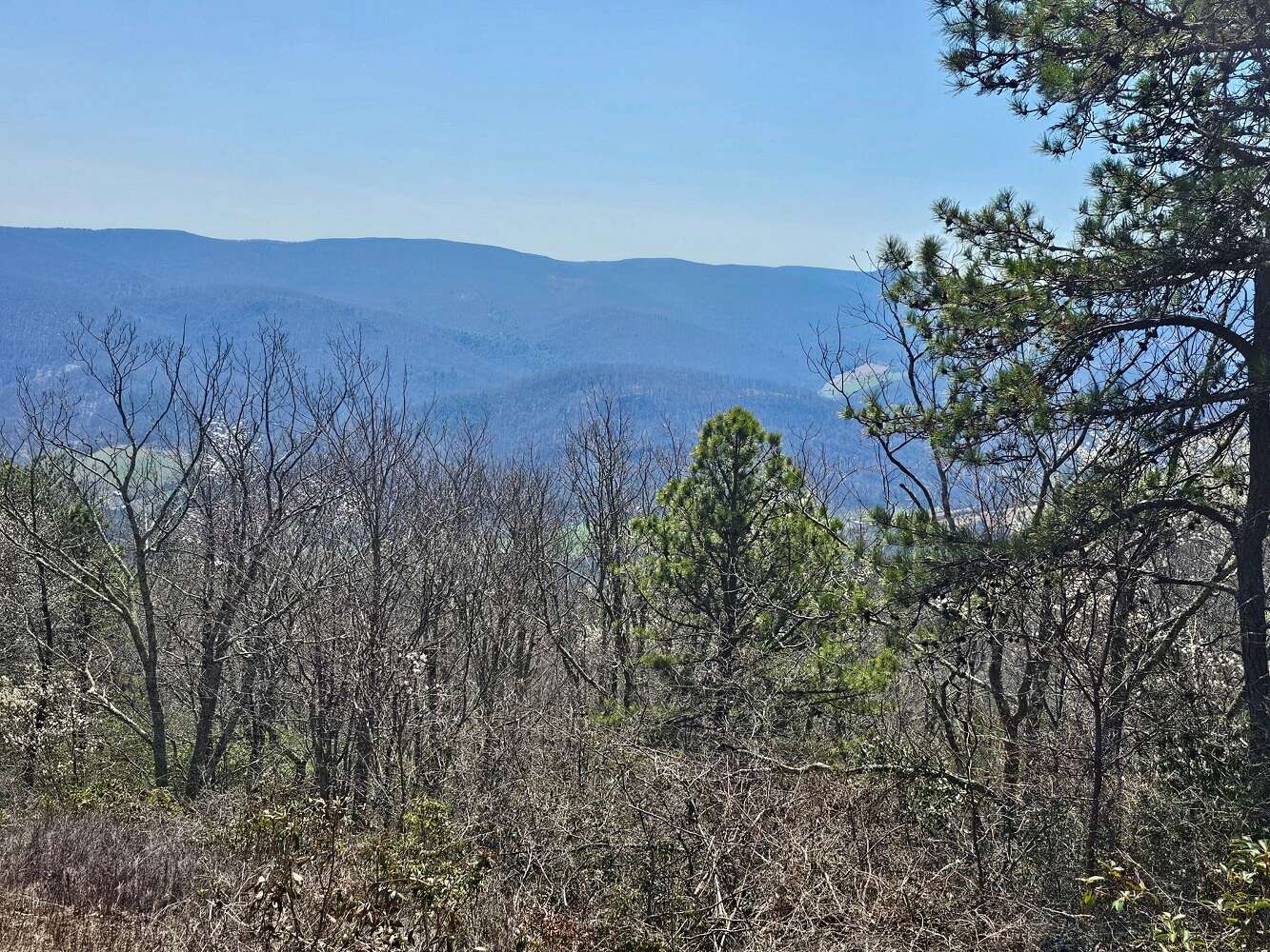 15.1 Acres of Land for Sale in Monterey, Virginia