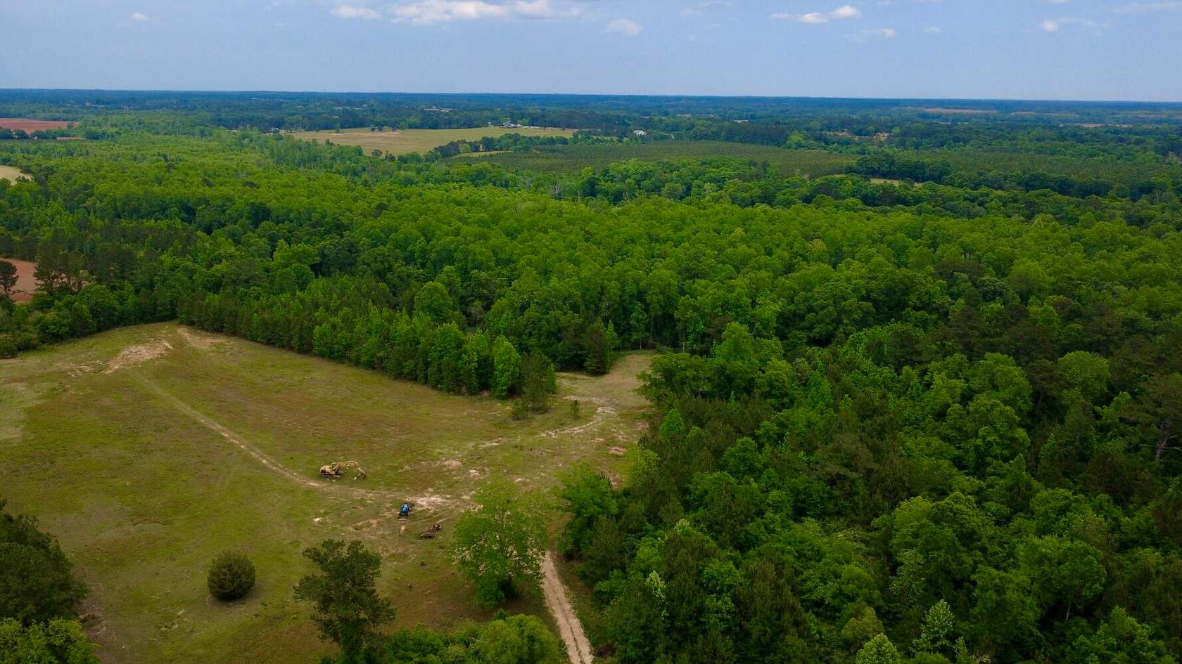 65.5 Acres of Recreational & Residential Land for Sale in Ashford, Alabama