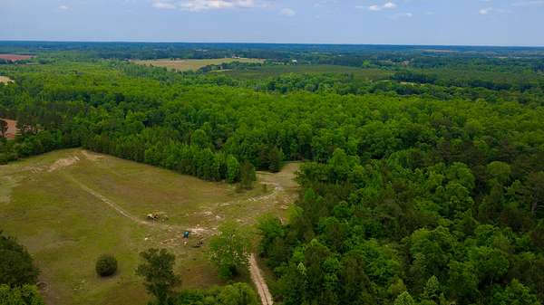65.5 Acres of Recreational & Residential Land for Sale in Ashford, Alabama