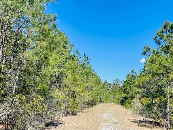 27 Acres of Land for Sale in Shallotte, North Carolina