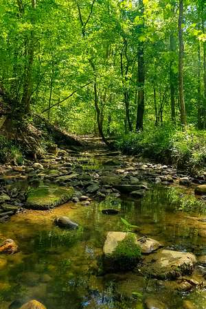 6.89 Acres of Residential Land for Sale in Dandridge, Tennessee