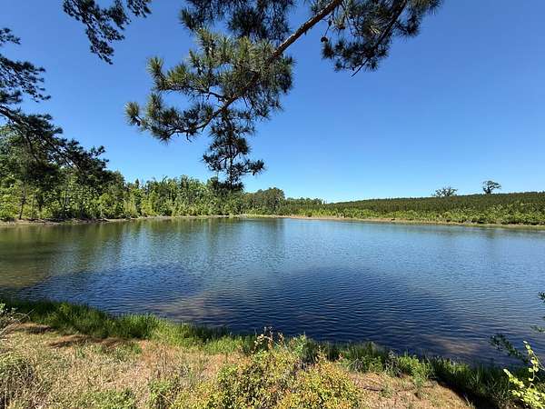 464 Acres of Recreational Land for Sale in Abbeville, Alabama