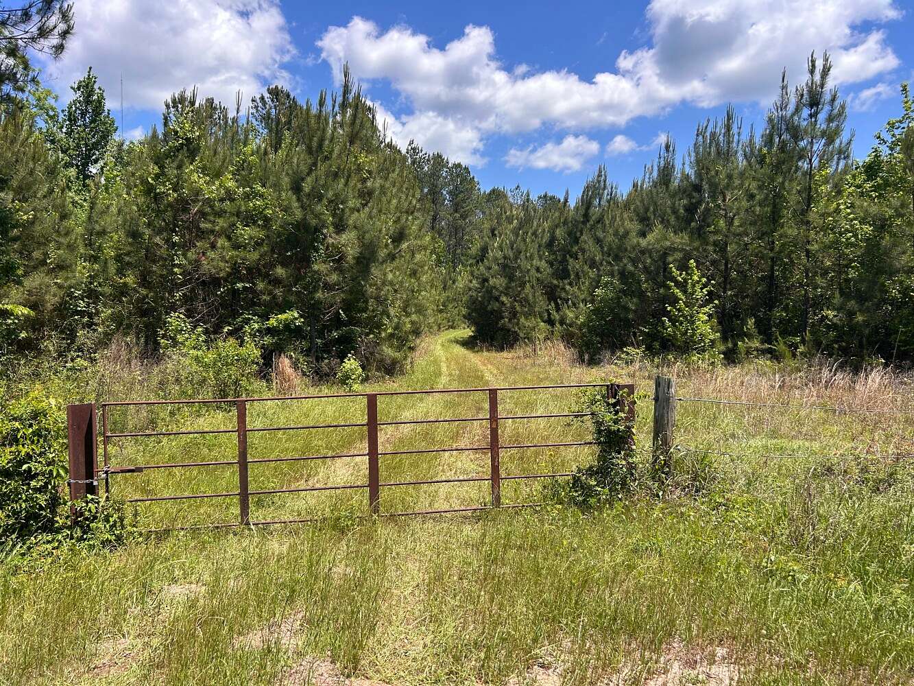 291 Acres of Recreational Land for Sale in Shady Grove, Alabama