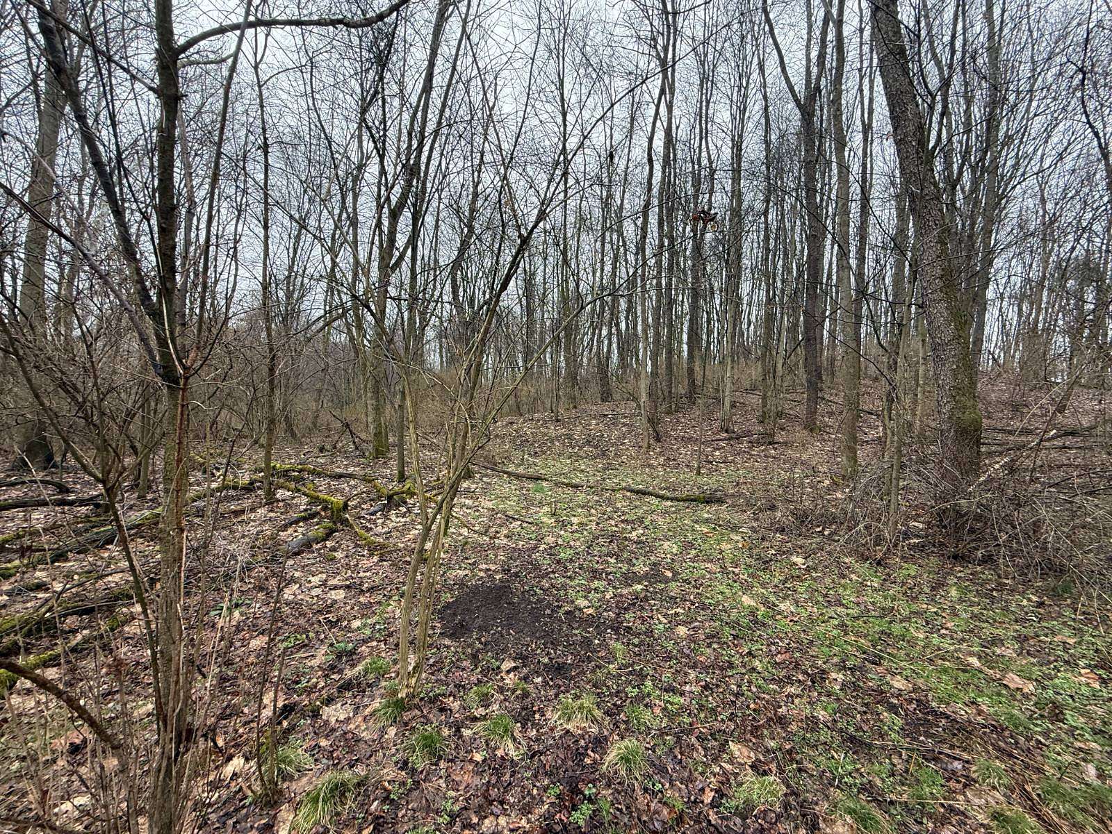 34.5 Acres of Recreational Land for Sale in New Castle, Pennsylvania