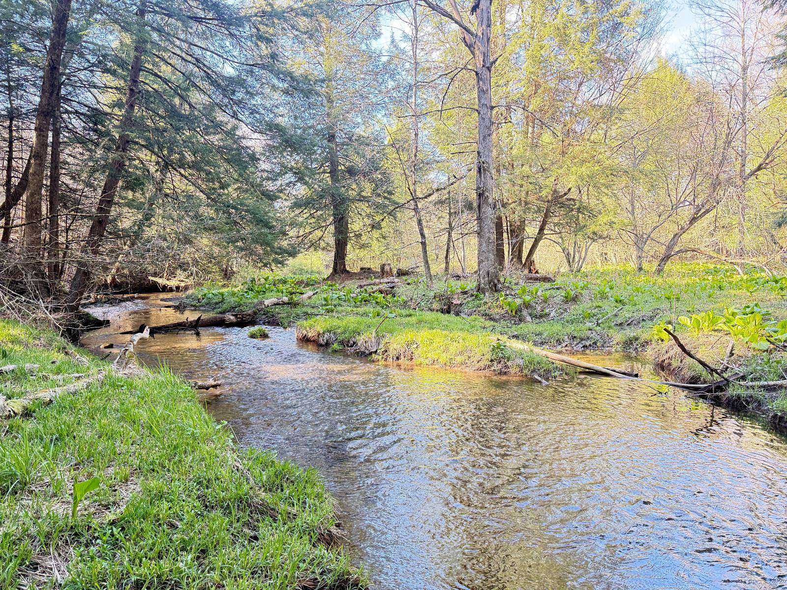 198 Acres of Recreational & Residential Land for Sale in Union City, Pennsylvania