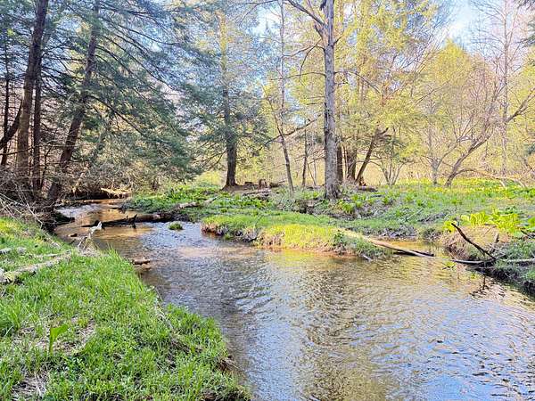 198 Acres of Recreational & Residential Land for Sale in Union City, Pennsylvania